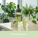 20.webp